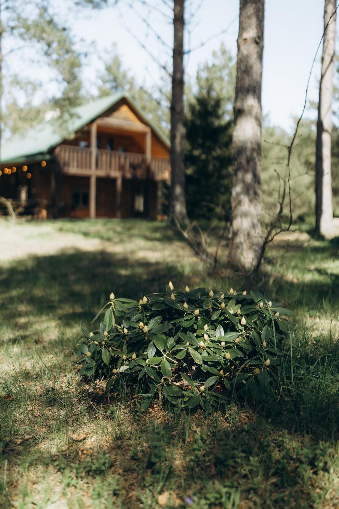 Holiday Home Atmatas Sabile Exterior foto